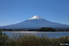 富士山と河口湖43