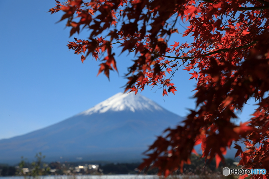 富士山と河口湖69