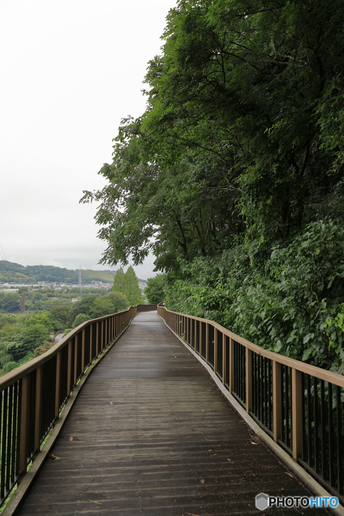 城山公園15