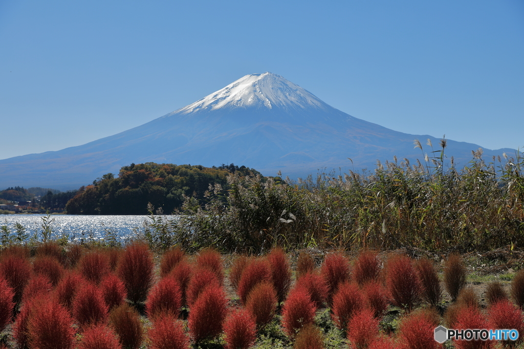 富士山と河口湖15