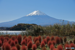 富士山と河口湖15