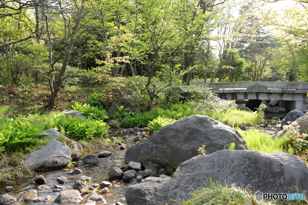 昭和記念公園⑦