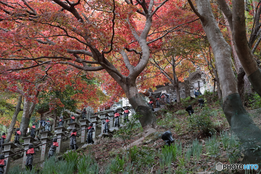 大山(神奈川県伊勢原市）3