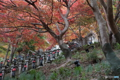 大山(神奈川県伊勢原市）3