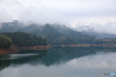 霧の宮ヶ瀬湖12