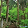 石段（山寺/宝珠山立石寺）