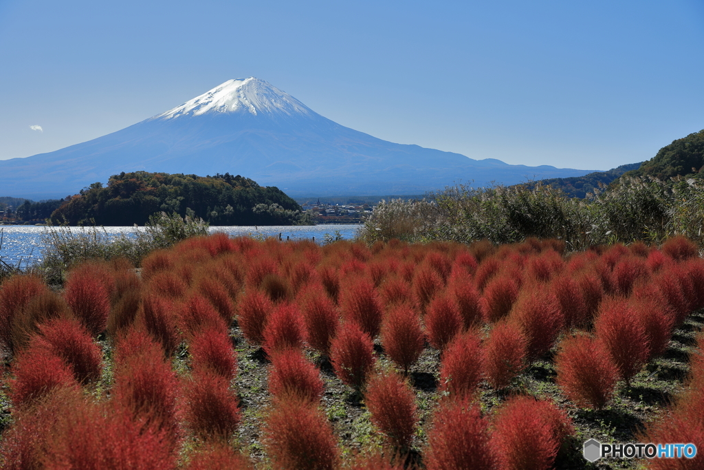 富士山と河口湖33