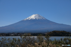 富士山と河口湖65