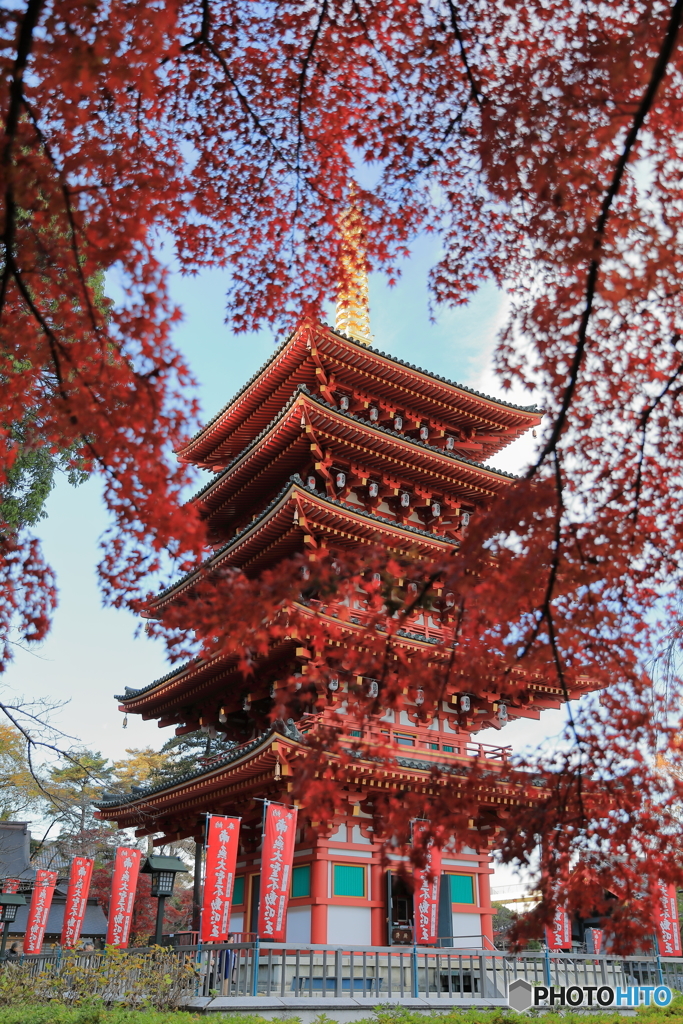 高幡不動16