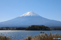 富士山と河口湖4