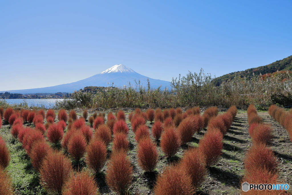 富士山と河口湖21