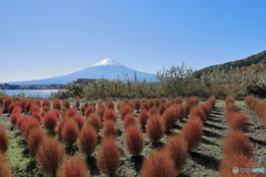 富士山と河口湖21