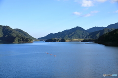 宮ヶ瀬湖14