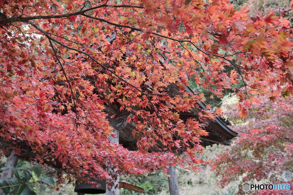 大山(神奈川県伊勢原市）18
