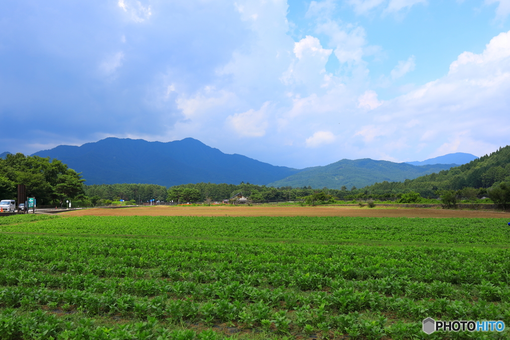 山中湖湖畔