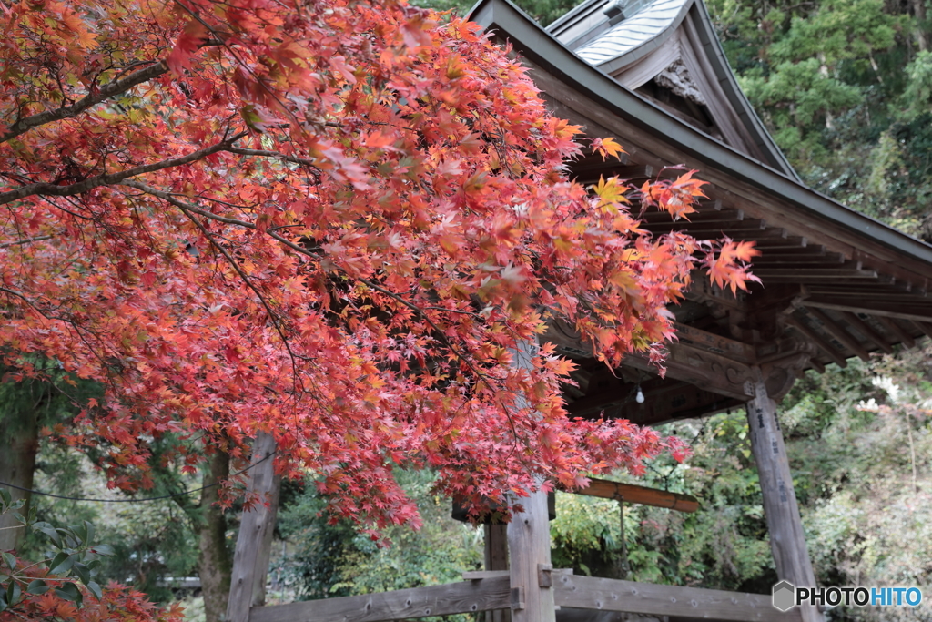 大山(神奈川県伊勢原市）14