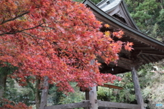 大山(神奈川県伊勢原市）14