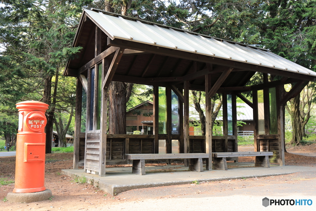 昭和記念公園⑯