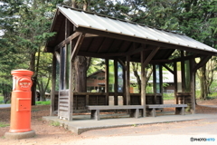 昭和記念公園⑯