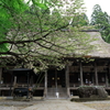 慈恩寺①