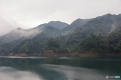 霧の宮ヶ瀬湖5