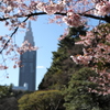 早春①
