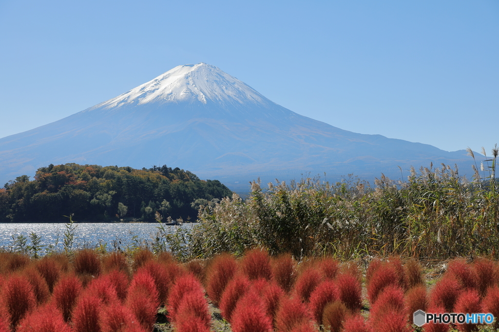富士山と河口湖14