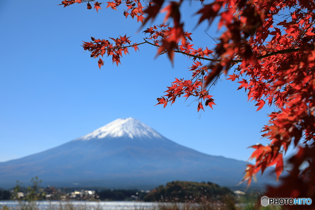 富士山と紅葉