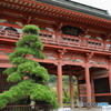 甲斐善光寺9