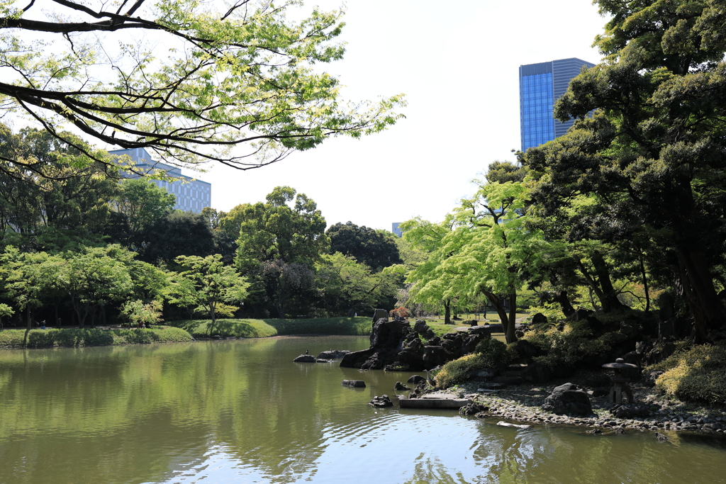 小石川後楽園①