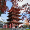 高幡不動05