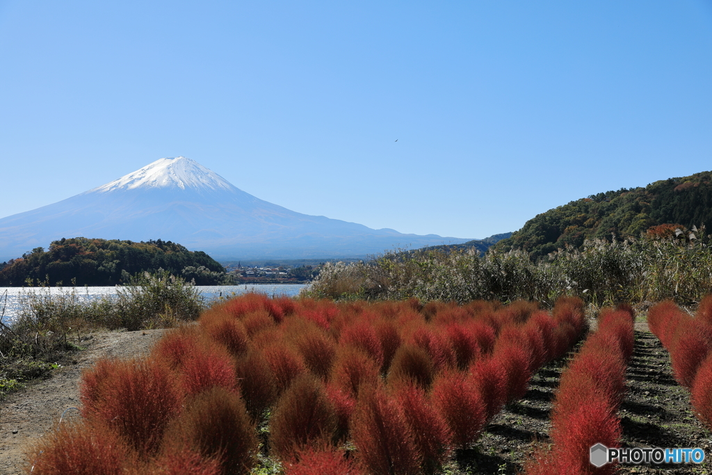 富士山と河口湖29