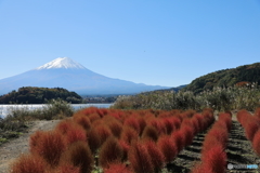 富士山と河口湖29