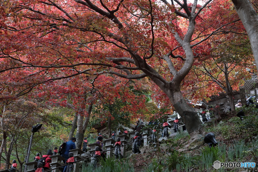 大山(神奈川県伊勢原市）7
