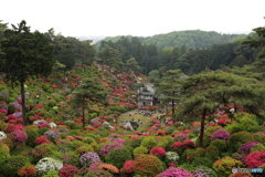 塩船観音寺③