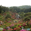 塩船観音寺③