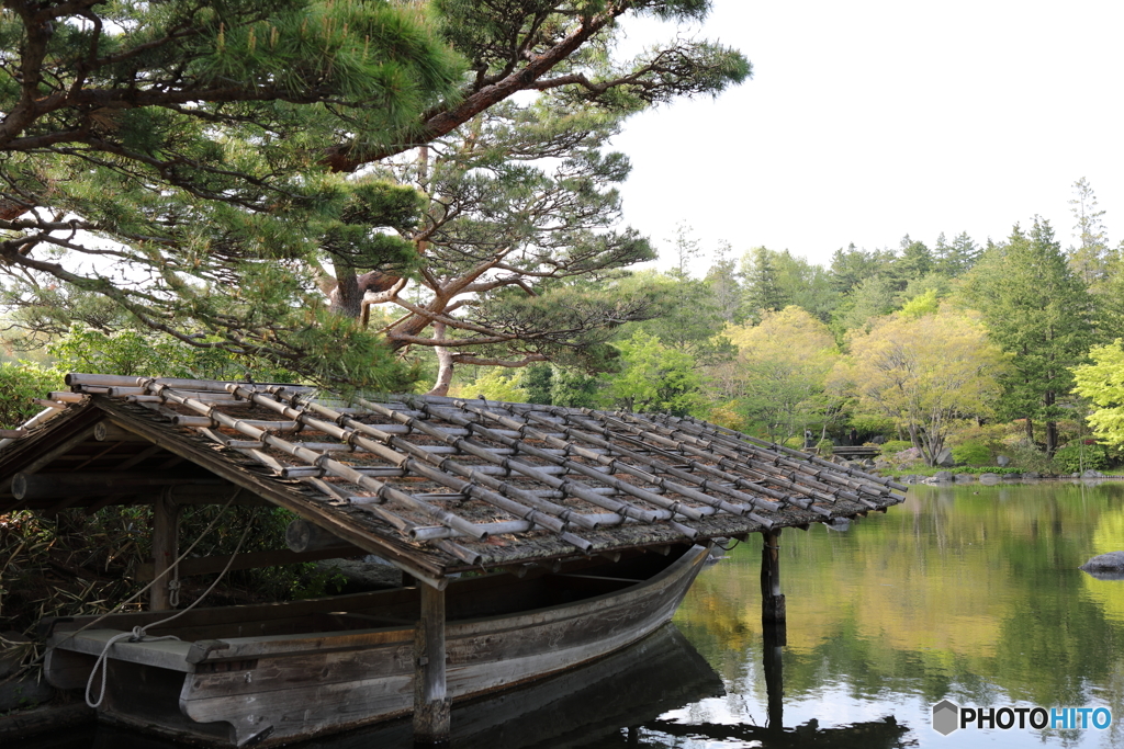 昭和記念公園⑮