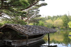 昭和記念公園⑮