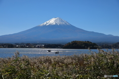 富士山と河口湖45