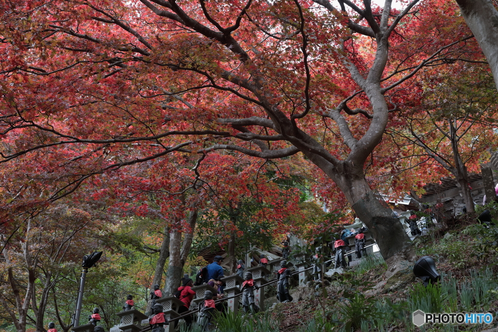 大山(神奈川県伊勢原市）8