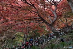 大山(神奈川県伊勢原市）8