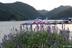 湖