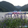 湖