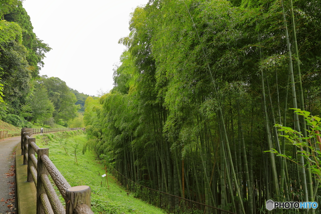 城山公園16