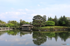 昭和記念公園⑨