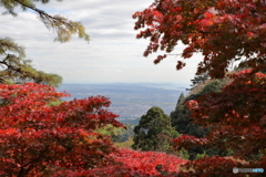 大山(神奈川県伊勢原市）10