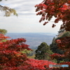 大山(神奈川県伊勢原市）10