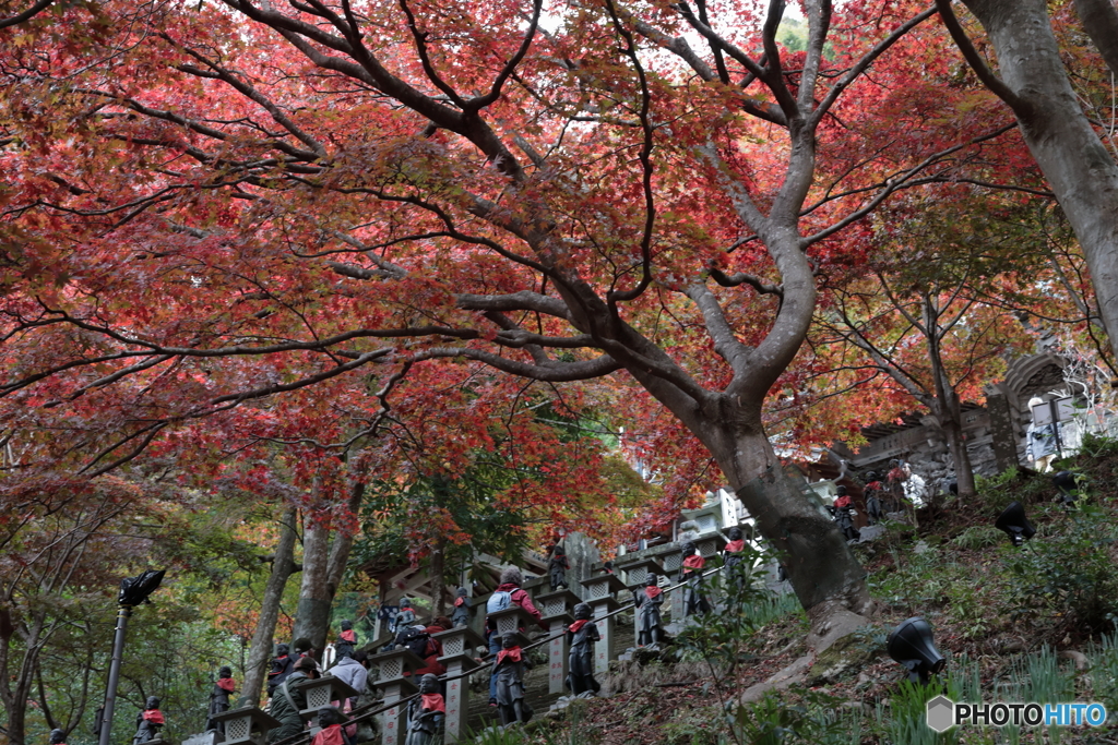 大山(神奈川県伊勢原市）4