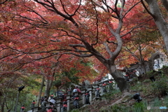 大山(神奈川県伊勢原市）4