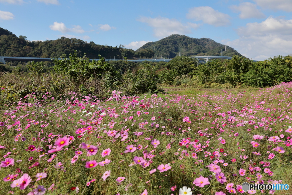2019年11月4日9